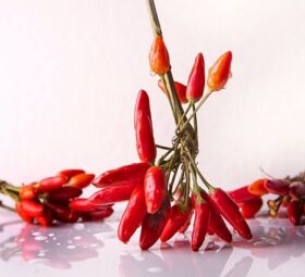 Pepper Gang