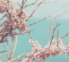 All You Need To Know About Kindness