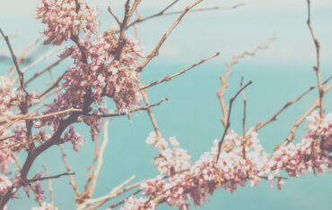 All You Need To Know About Kindness