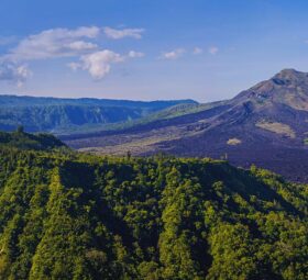 The Rainy Season and The Pandemic