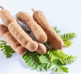 Health Benefits of the Velvet Tamarind Fruit