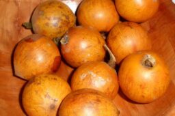 Health Benefits of African Star Apple (Agbalumo)