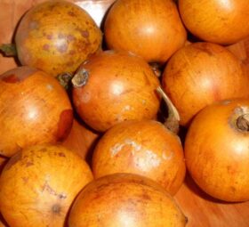 Health Benefits of African Star Apple (Agbalumo)