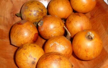Health Benefits of African Star Apple (Agbalumo)