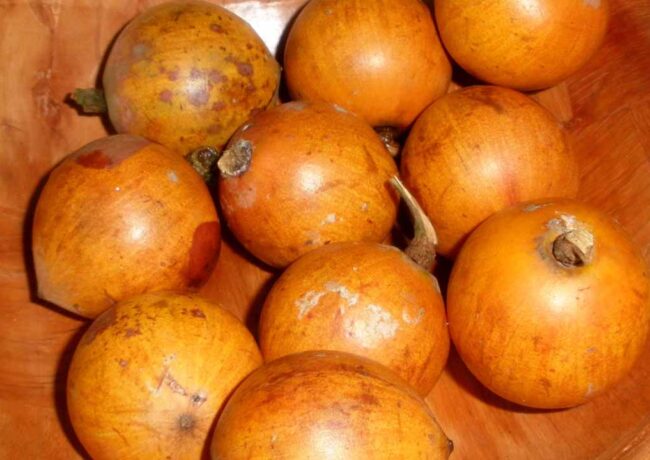 Health Benefits of African Star Apple (Agbalumo)