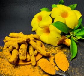 TURMERIC –THE GOLDEN CHAMPION FOR HEALTH