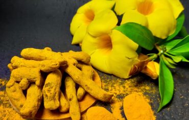 TURMERIC –THE GOLDEN CHAMPION FOR HEALTH
