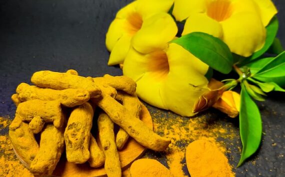 TURMERIC –THE GOLDEN CHAMPION FOR HEALTH