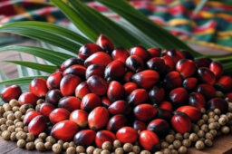 Palm Oil & Weight Loss: The Truth