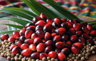 Palm Oil & Weight Loss: The Truth