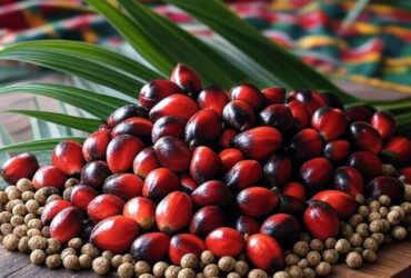 Palm Oil & Weight Loss: The Truth