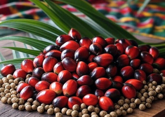 Palm Oil & Weight Loss: The Truth