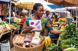What Does a Healthy African Plate Really Cost?